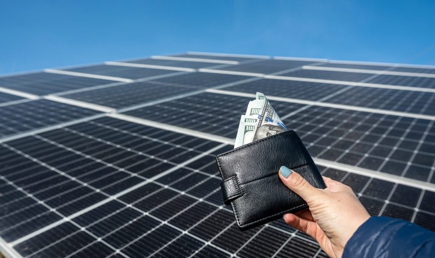 beautiful female hand holds a black wallet with dollar bills, which she holds close to the sun. concept of green electricity. business. purchase of solar panels