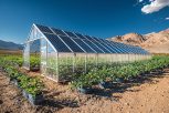solarenerji-solar energy greenhouse-tarımdagüneşpaneli-antalyasolar-seralardasolarenerji-sera-alanya-manavgat_1